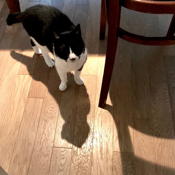 6c54ea58 4eb0 4dc2 abac 359d11dd3a3a 1529635196953