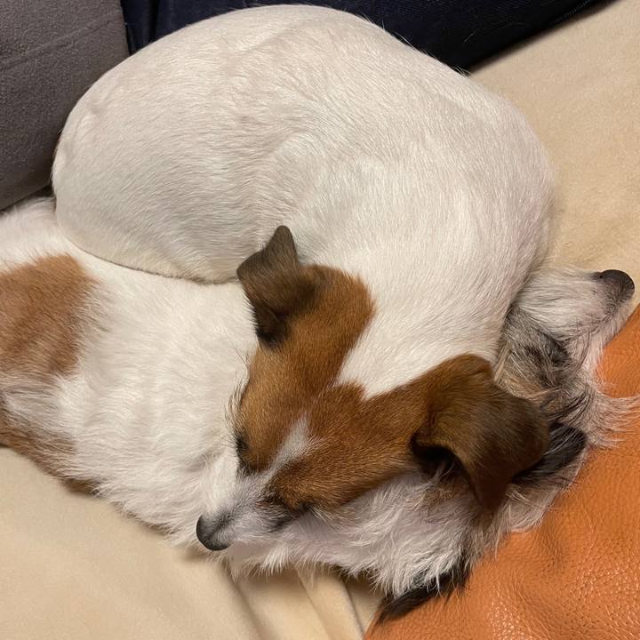 6c54ea93 a032 4386 8523 f7e16f88e4b9 1697893515072