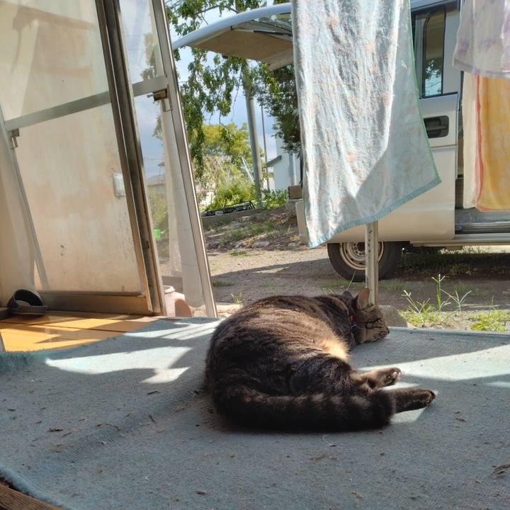 6c54fbe8 6158 48ed b8ae 9c01182ac42d 1694669513065