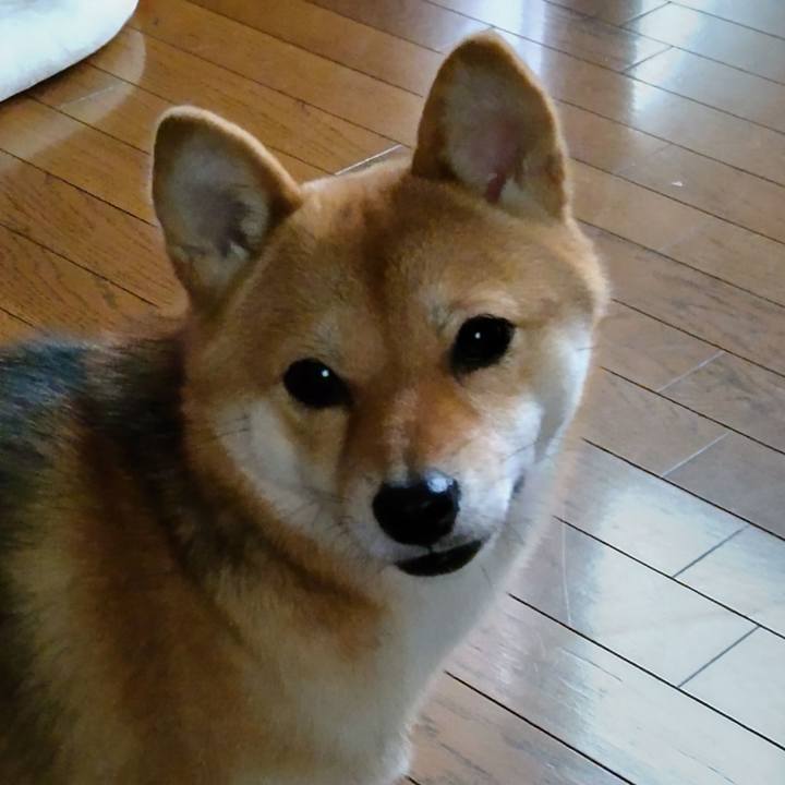 6c54ff7b 83e4 489d 9dfc 030640b1abb2 1633936105970