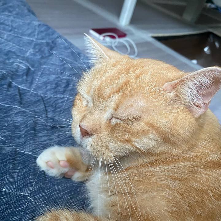 6c55558a c3da 4bbb b577 f57a759d54a3 1625012001277