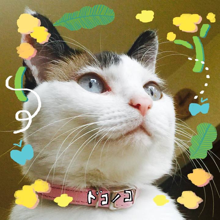 6c5587d6 f2ee 4bfa a31e d7c4a4c85cc8 1744634812216