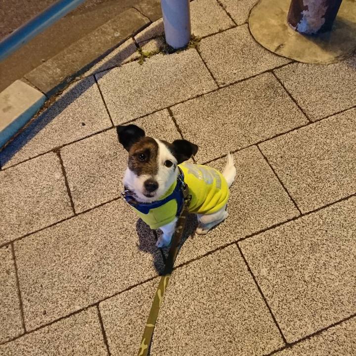 6c55b034 e410 432c 9307 51c995ac9e59 1518610547041