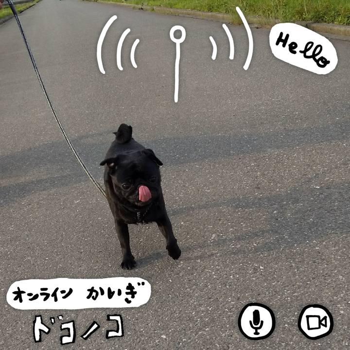 6c55e276 32ce 4f00 8a8c 2b486f0ad25d 1590893717718