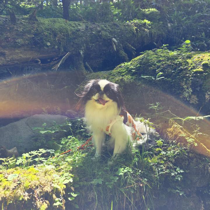 6c560985 9e15 49a4 9d10 3fc63370ab00 1754625565823