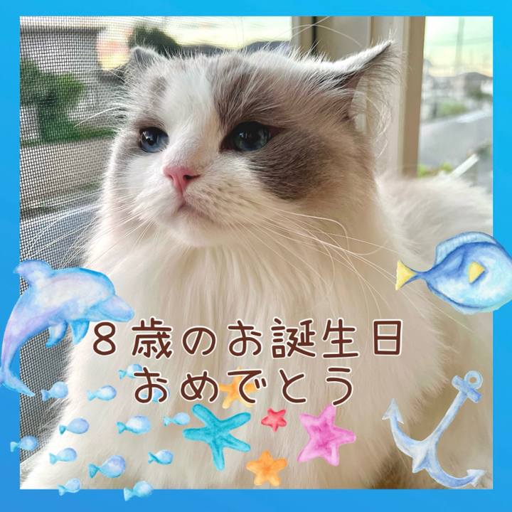 6c564d15 3123 4704 b91a cff7d9b8c8d7 1722371676145