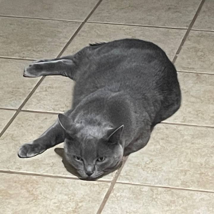 6c56631a 46ea 4a25 90d9 bc8f8ed344b8 1697762143592