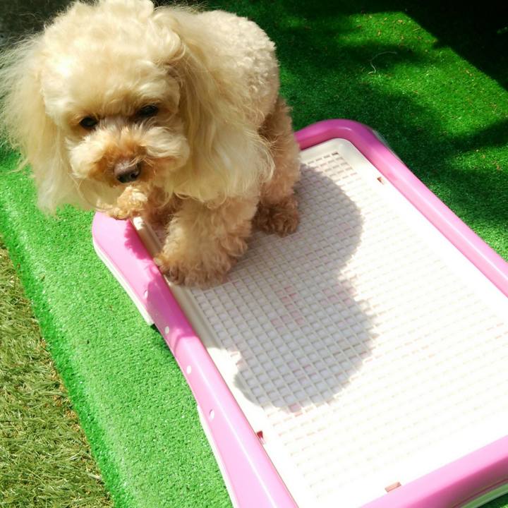 6c566dee f66c 4c5d 8e81 3998ebf1543e 1524208091427