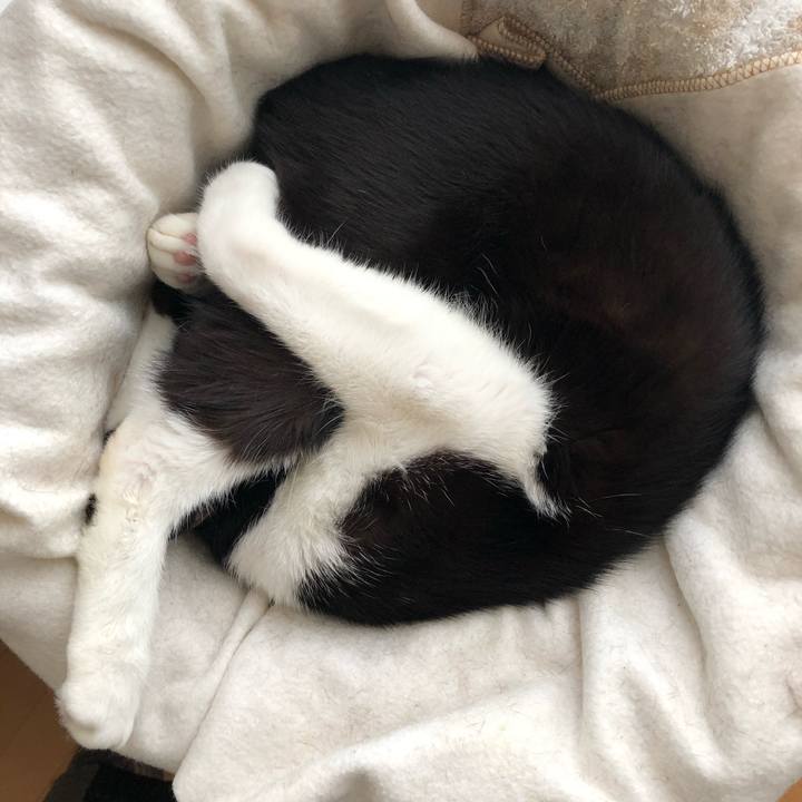 6c56ab8c d466 4f79 b39c 7e94f1132e36 1554612215022