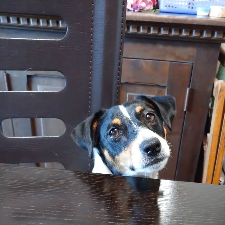 6c56e093 c90e 43e6 a79c 41c85e22ab15 1599463149109