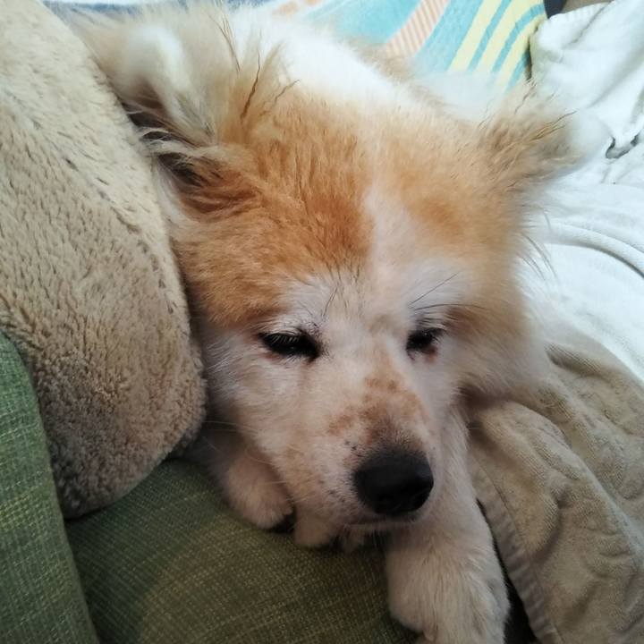 6c5713a1 7948 4204 ba42 5be74d05df22 1605451083926