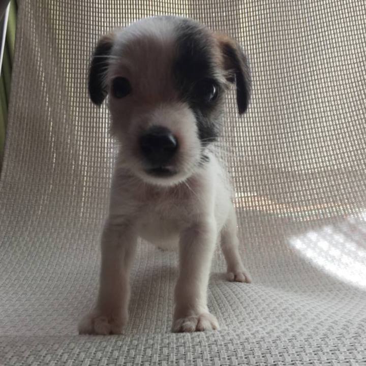 6c574970 ac46 45f3 9413 f9ad7afa455c 1720009900507