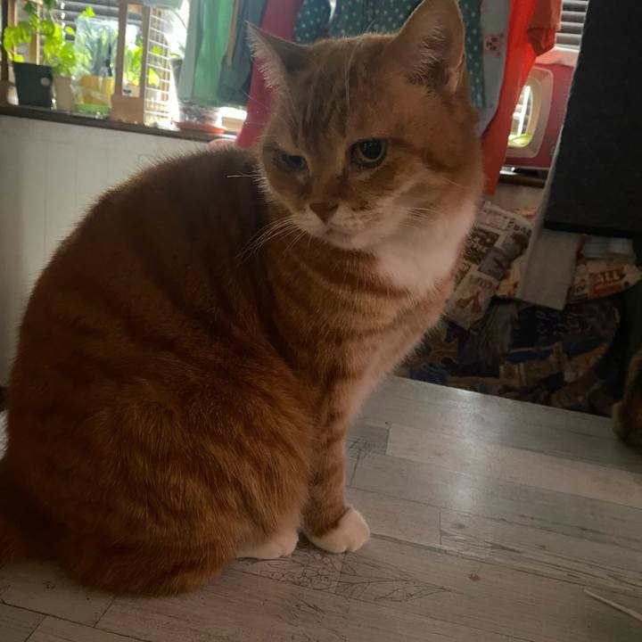 6c57edca 6d5f 4519 b4b0 efcbc7ca731c 1644708694531