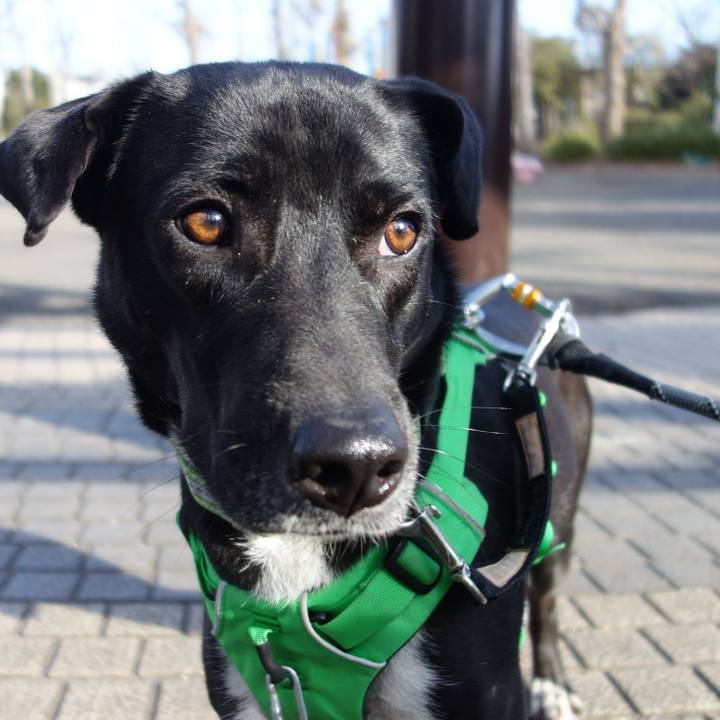 6c580737 d5cf 4083 a133 0bf7cbfe79e4 1581686619742