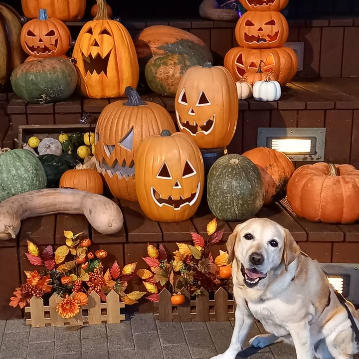 6c580a1a 313a 41d4 8f99 d15e7b7e38c6 1665724086429