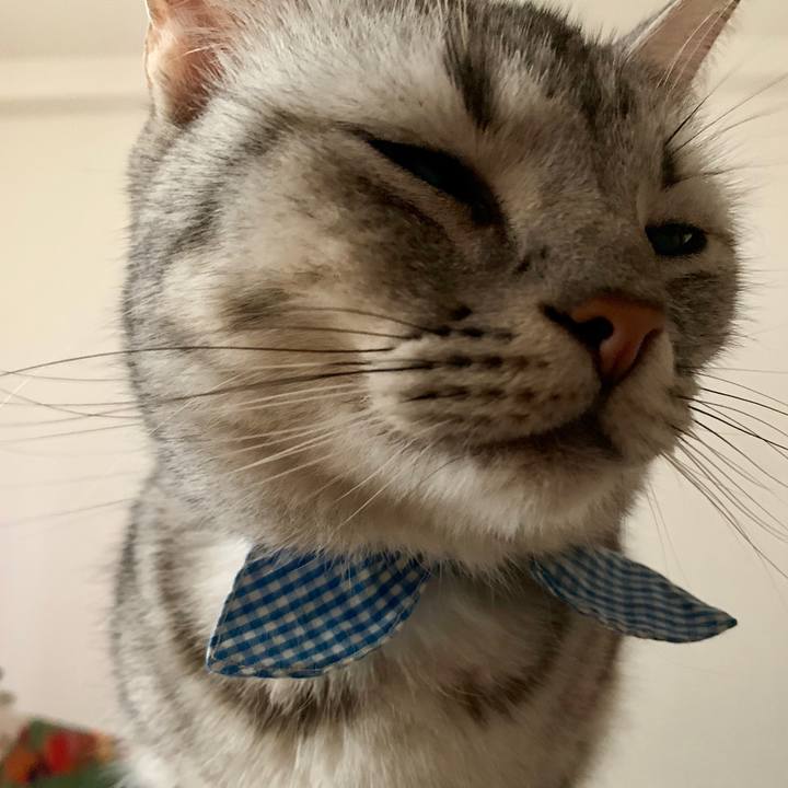 6c5842b2 7fef 4c21 830e 32e3a9f0ea6c 1570409487149