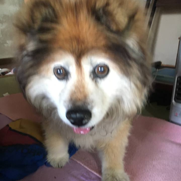 6c585185 ec5c 4a44 baf7 c1517d3c123b 1570420609444