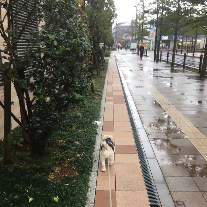 6c5870ec b7ad 4b90 bd15 769b54cb58b1 1554894723008