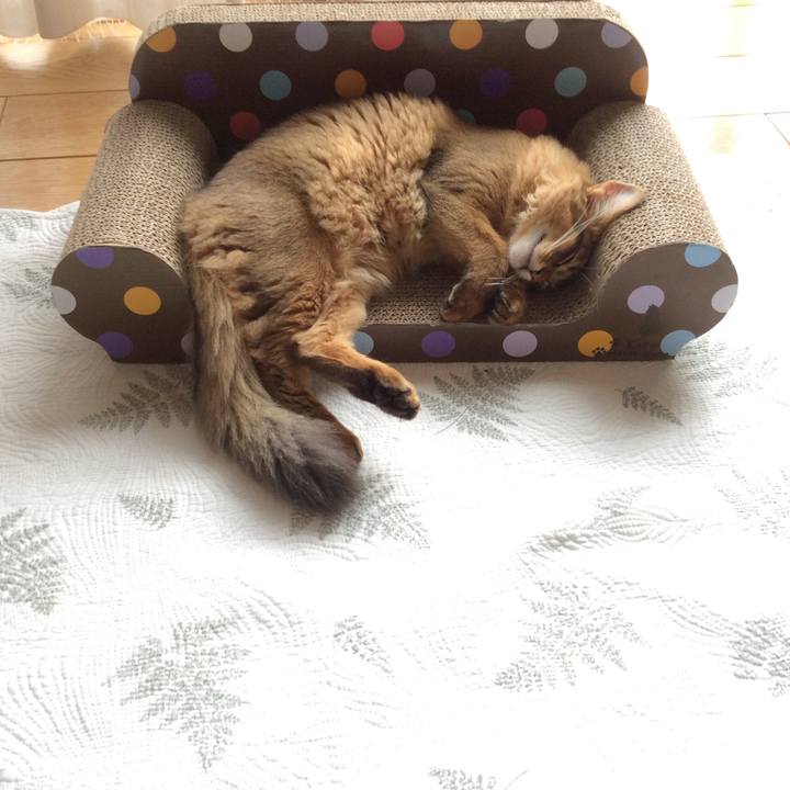 6c58767f d1df 4190 9d7c 66744b3fed1d 1576547133791