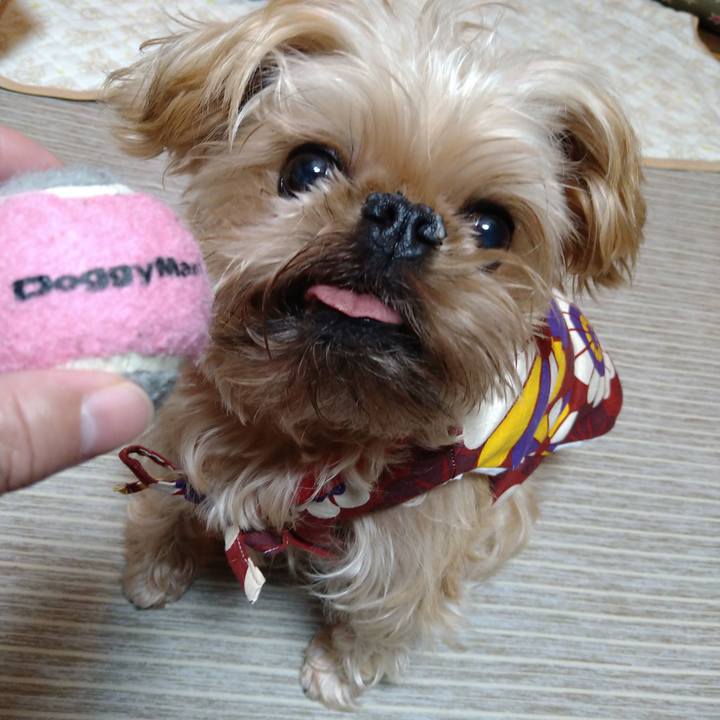 6c5886d9 d274 4488 89a5 1a3a478856bf 1609375747370