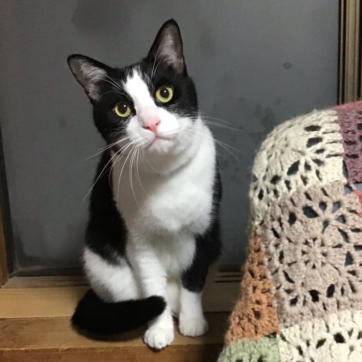 6c58a58a 8a6e 4427 a483 b6b410324607 1730801215460