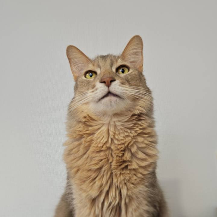 6c58c086 15e1 4ed5 a4af 212290fe6d2f 1768355826199