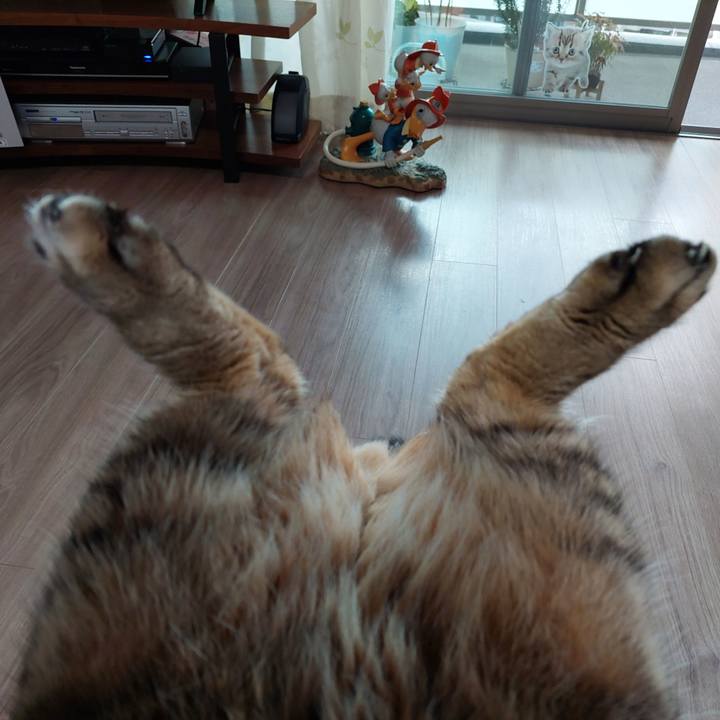 6c58c7dd 3248 47c8 921b 84a30fe69620 1729719978981