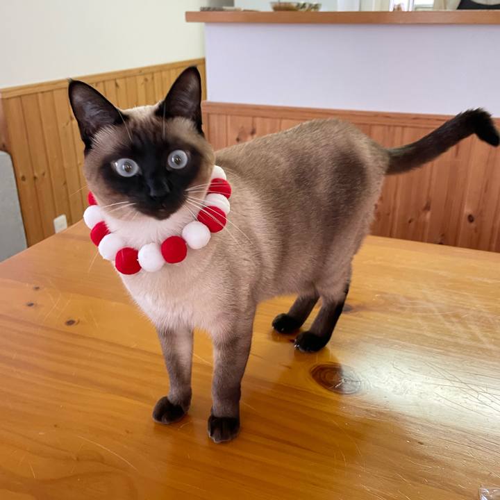 6c58ca81 d320 4fa4 b769 05fd6425c6ae 1734848879558