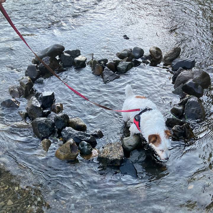 6c58ca8b cbbf 452f 994d a0a9943ebf5e 1693099859600