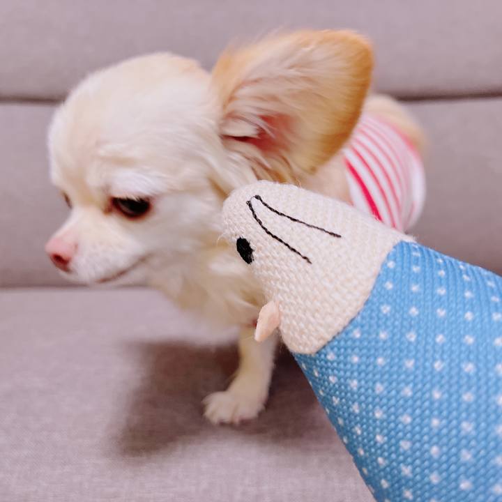 6c58cf3c 54bc 4732 ae12 510814ce7520 1679124077372