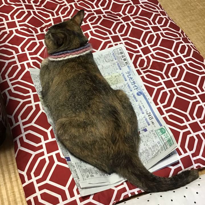 6c590a58 0a2f 4b09 ba47 6b7629ca9834 1627109148550