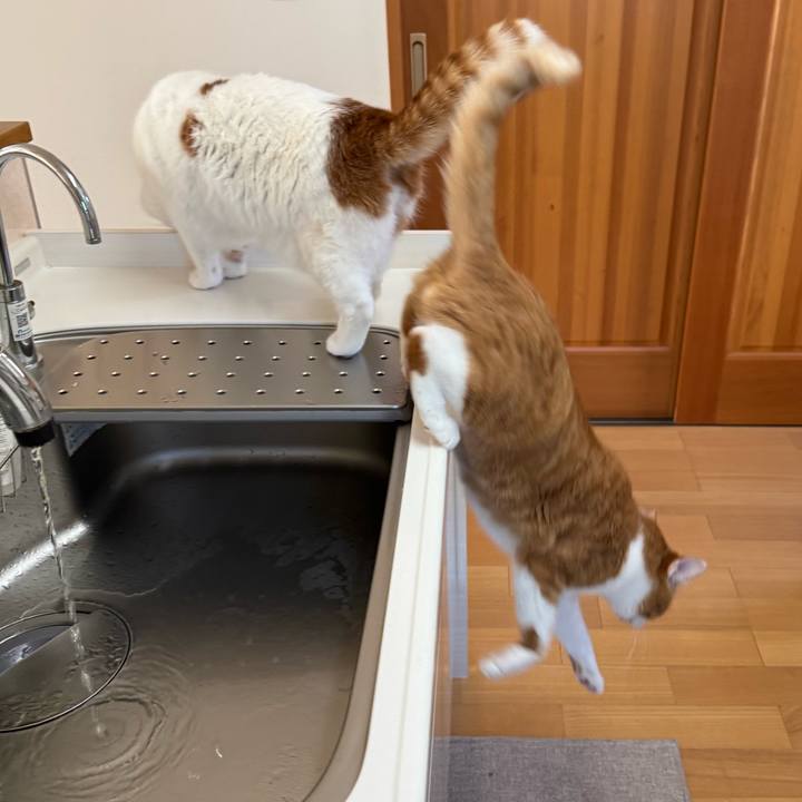 6c591d3b 9dd4 4b03 ad32 6bfd9aca2abb 1765507361051