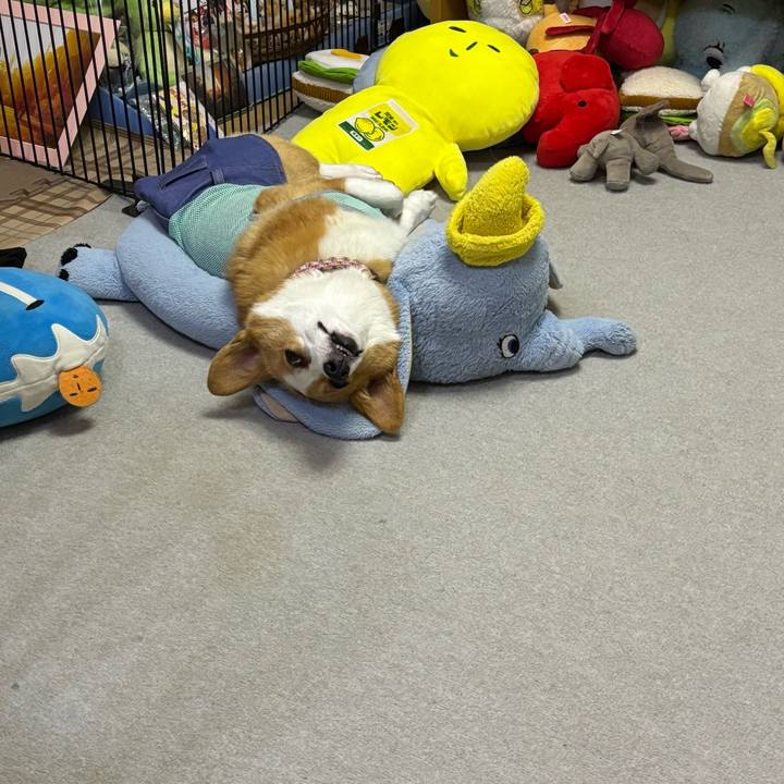 6c59226f 6658 4ff6 bafc 3da578d502ca 1758463754473