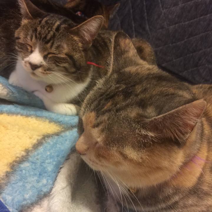 6c5933e2 7666 460b b194 3b0c26869179 1559662545440