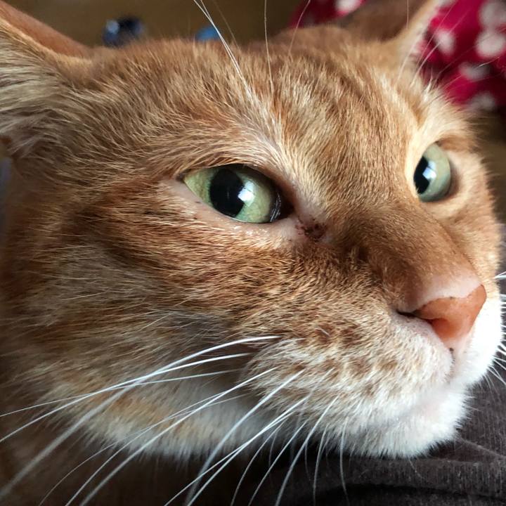 6c594442 bf45 45bf bbc8 b4fc3955af77 1643667031532