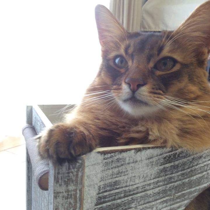 6c5950ea 484c 46db bceb a7280aa5d3c7 1611792755544