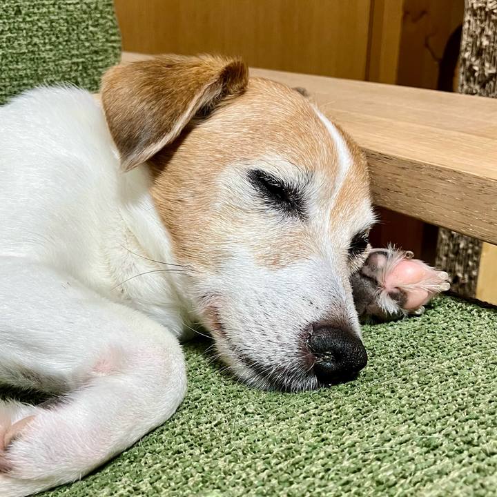 6c598f21 088d 454d 910b b317284d2b87 1705068104422