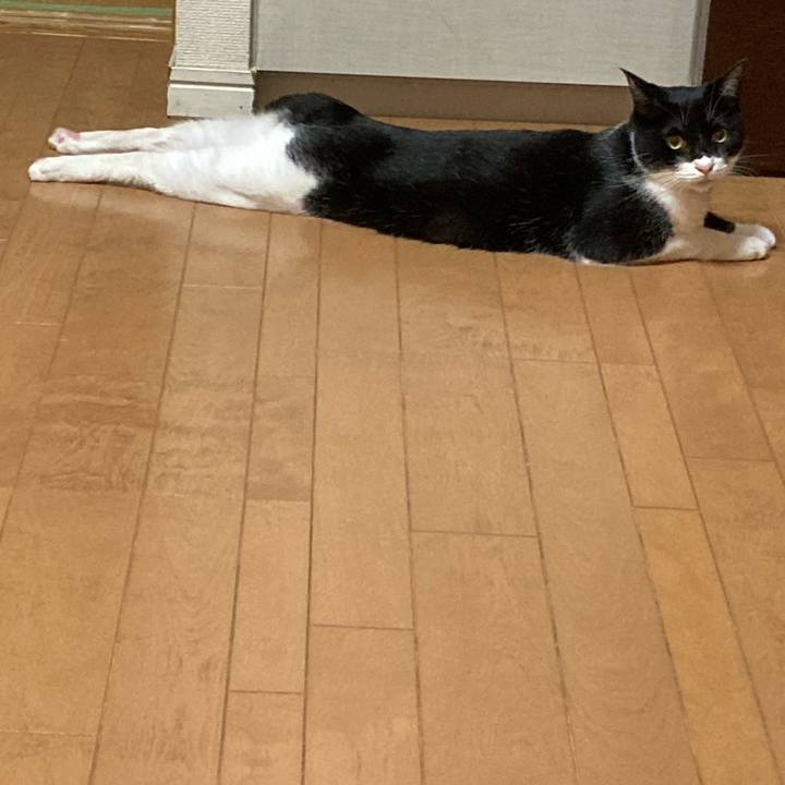 6c59c10a c724 4bd1 b671 3a7452c56a0f 1623640374110