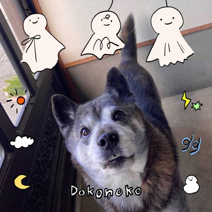 6c59ebbe 8a0f 4d6e a25d 1fa0e90266dd 1749254189128