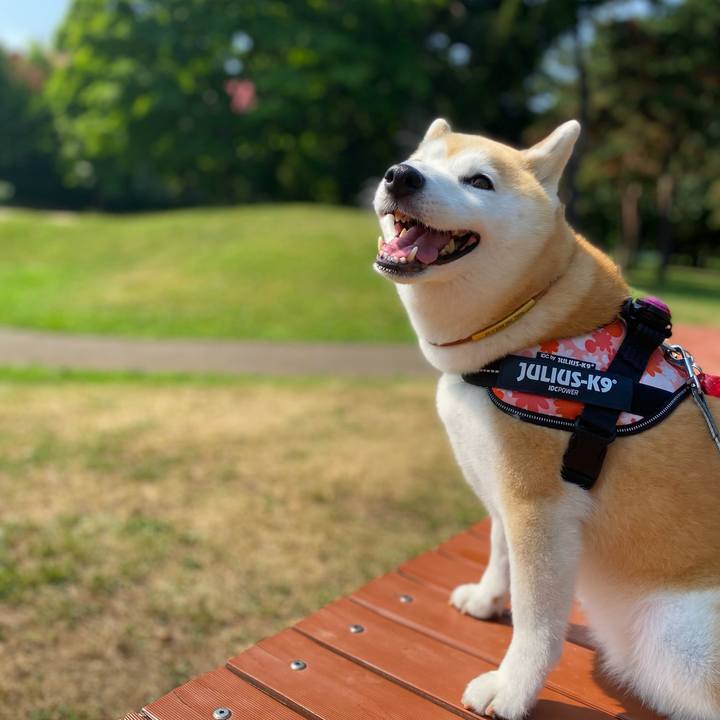 6c59f259 36be 4431 9ed4 da54f9919962 1720603492983