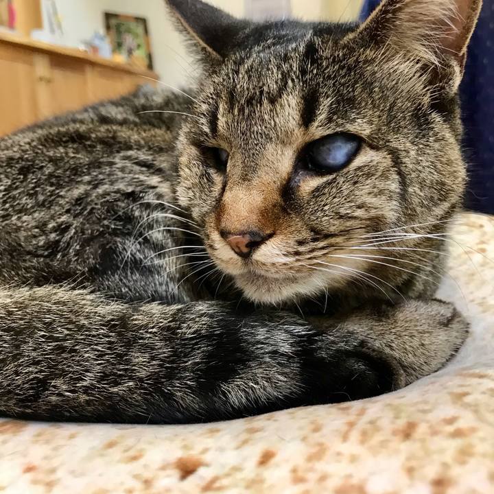 6c5a4b21 fc0a 48c0 a467 29eb59d674c8 1615973368604