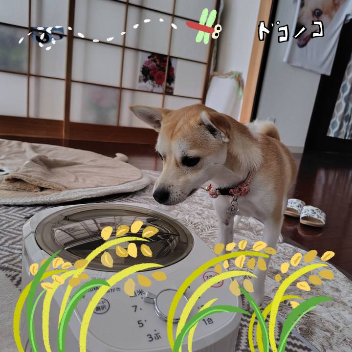 6c5a8c9d e649 4059 96be 6bc479085565 1763343613617