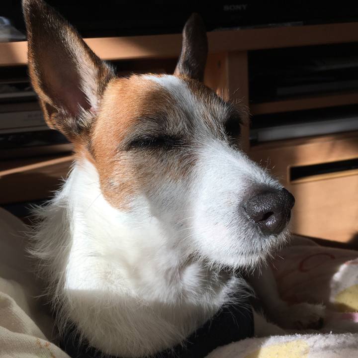 6c5a8e64 0b49 40c0 a9ba b6fb96d882ea 1578454652607