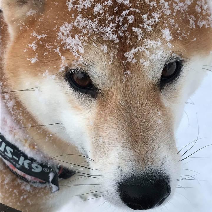 6c5afebe 97d1 4cb9 b4d1 fed9752ca240 1519040604671