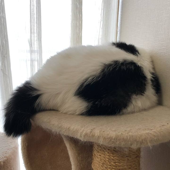 6c5b0603 3d42 49ef 9399 4bbc508d59a9 1569800102438