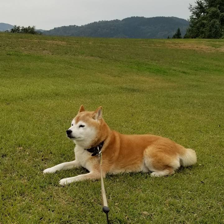 6c5b0857 a36a 4c89 96e7 3cd3bb237c51 1696749290998