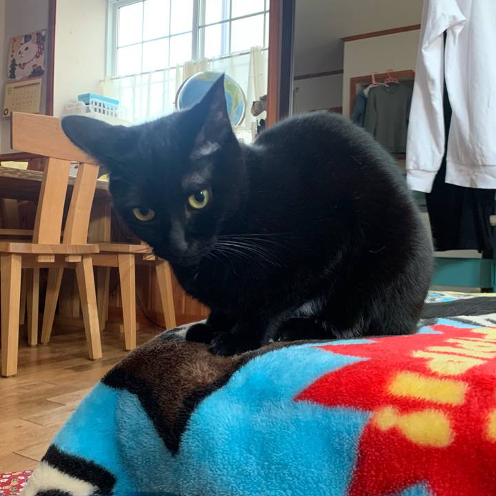 6c5b0cca 294f 4092 b0ce 27d19fcfcab3 1575786112260