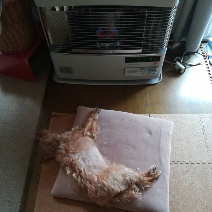 6c5b487a f325 458a a1a2 7aa31e34a45a 1573270796634