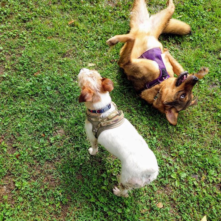 6c5b54a4 8da7 48b4 b154 95184c110b4a 1749950284696