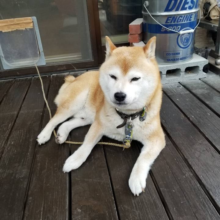 6c5b562e 740c 4194 9148 48683d08f851 1656027309404